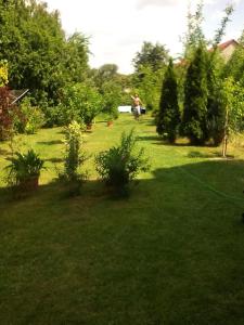 Zahrada ubytování EKO-penzion Hamry