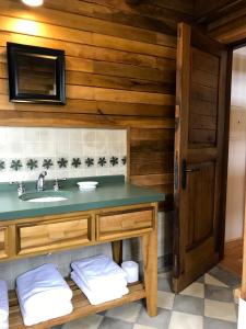 プエルト・バラスにあるCabañas Quebrada Verdeの洗面台付きのバスルーム、木製の壁