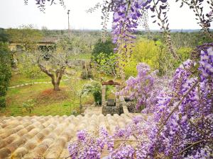 A garden outside Masseria Borgo del Gallo