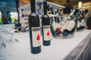 Bebidas en Hotel Marcincak***