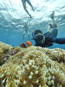 un grupo de personas nadando sobre un arrecife de coral en Cong Sen Backpackers Hostel en Taitung