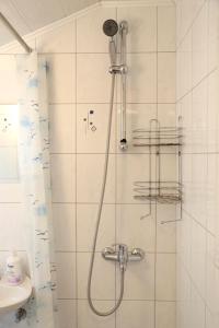a shower with a shower head in a bathroom at Apartments Mira in Gornji Karin