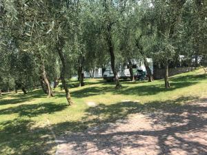 Zahrada ubytování Agricampeggio Paradiso