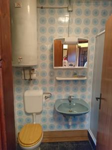 a bathroom with a toilet and a sink at Kuća za odmor Magdalena in Vrtlinovec