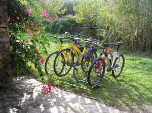 Gallery image of Bamboo House in Teulada