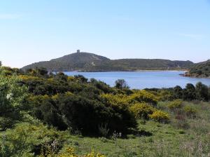 Gallery image of Bamboo House in Teulada +13 photos