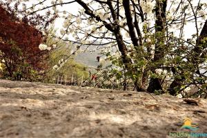 Gallery image of Little Arco House in Arco