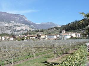 Gallery image of Little Arco House in Arco