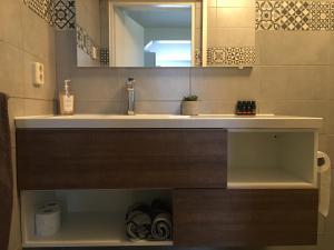 un bagno con lavandino e specchio di Garden Room and Economy Room ad Amsterdam