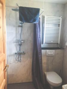 a bathroom with a shower with a toilet and a shower curtain at Guesthouse Skálafell in Skálafell