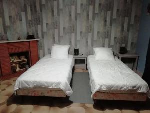 2 Einzelbetten in einem Zimmer mit Kamin in der Unterkunft La Tribu de Beauval 6ch grand terrain et parking privé in Saint-Aignan