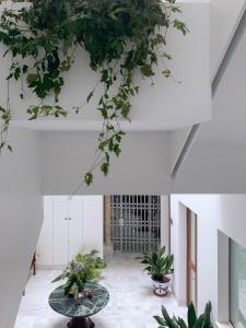 a room with a table and plants on the ceiling at La casa del Lagar 10 in Seville