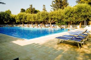 una piscina con sedie a sdraio blu e un gruppo di pellicani di Hotel Baia Del Sole a Marina di Ragusa