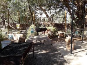 een picknickplaats met een grill en een aantal bomen bij Hostal Las Kañas in San Pedro de Atacama