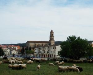 un rebaño de ovejas pastando en un campo frente a un edificio en Apartament Torrellenc, en Torrelles de Foix