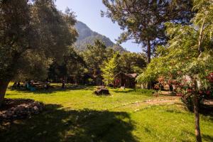 a green yard with trees and a mountain in the background at Sea Valley Lodge in Faralya