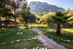 a path in a park with a mountain in the background at Sea Valley Lodge in Faralya