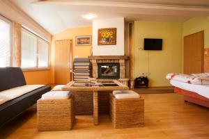 TV a/nebo společenská místnost v ubytování Guest House Čelan