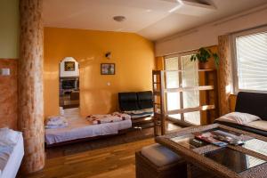 TV a/nebo společenská místnost v ubytování Guest House Čelan