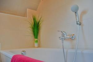 a bathroom with a bath tub with a plant at Ferienhaus-Bodden in Saal +38 photos