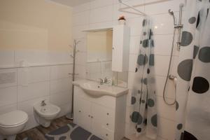 Koupelna v ubytování Guest House Čelan
