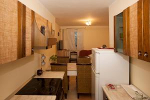 Kuchyň nebo kuchyňský kout v ubytování Guest House Čelan