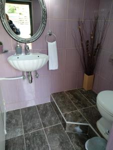 アルテミダにあるcountry & seaのバスルーム(洗面台、トイレ、鏡付)