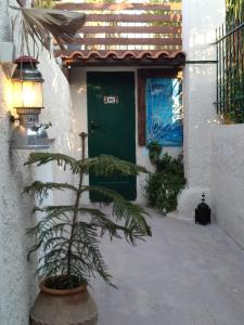 a palm tree in a pot in front of a door at country & sea in Artemida