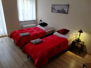 Posteľ alebo postele v izbe v ubytovaní Apartament Miarki