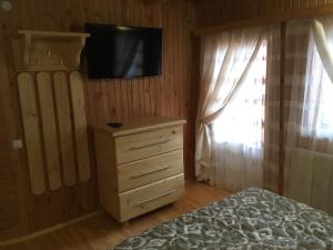 TV a/nebo společenská místnost v ubytování Смерековий двір