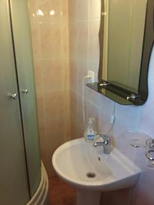 ein Bad mit einem Waschbecken und einem Spiegel in der Unterkunft Смерековий двір in Jaremtsche