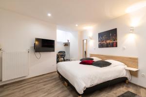 um quarto com uma cama e uma televisão de ecrã plano em CityCosy Strasbourg - Studio Hirtz Orangerie em Estrasburgo