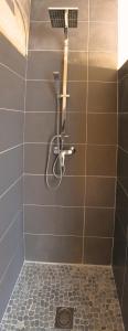 a shower with a shower head in a bathroom at La Grange du Bois des Arrendies in La Salvetat-Belmontet