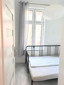 sypialnia z 2 łóżkami piętrowymi i oknem w obiekcie Apartament Mikolowska 9 w mieście Katowice