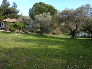 Сад в Casa Natura