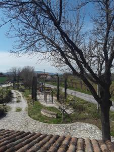 Photo de la galerie de l'établissement FATTORIA DELLA BILANCIA, à San Giovanni in Marignano