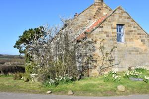un viejo edificio de ladrillo con flores blancas delante de él en The Hayloft Cottage en Whitby