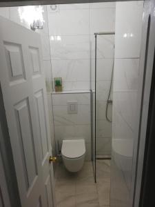 a bathroom with a toilet and a glass shower at St Michael in Međugorje