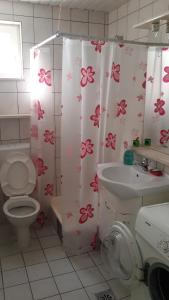 Een badkamer bij Apartment Raonic