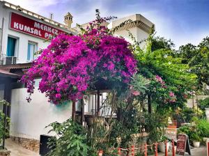 a bunch of purple flowers on the side of a building at Merkez Kumsal Pansiyon in Bodrum City