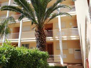 een palmboom voor een gebouw bij Amoreira Alvor - Praia e Piscina in Alvor