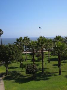una cometa volando sobre un parque con palmeras en Miraflores Frente al Mar, en Lima