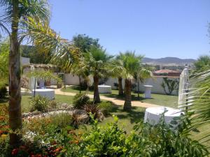 a garden with palm trees and white tables at Hotel Kika in Santa Marta