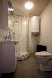 a bathroom with a shower and a toilet and a sink at Selfell Guesthouse by Stay Iceland in Kálfafell
