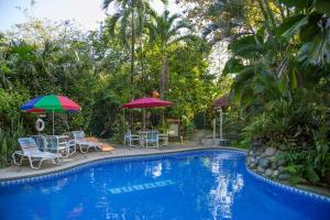 Bazén v ubytování Cabinas Iguana Cahuita nebo v jeho okolí