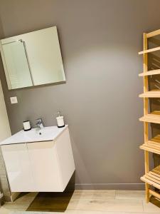 Un baño con un lavabo blanco y un espejo. en Esprit Cosy sur plateau central, en Clermont-Ferrand 40 fotos más