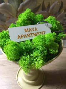 um vaso cheio de flores verdes com um sinal de nomeação maya em Maya Apartment em Cluj-Napoca