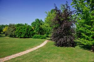 Vonkajšia záhrada v ubytovaní Park Hotel Junior