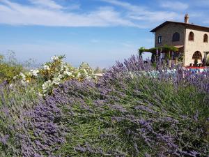 Paesaggio naturale nelle vicinanze della villa