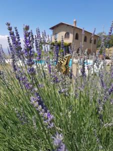 Giardino di Villa Bella Costa